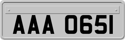 AAA0651