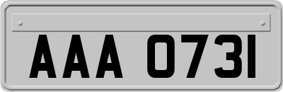 AAA0731