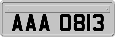 AAA0813