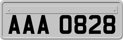 AAA0828