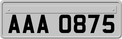 AAA0875