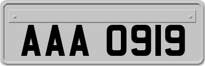 AAA0919