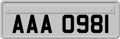 AAA0981