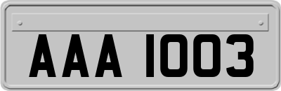 AAA1003