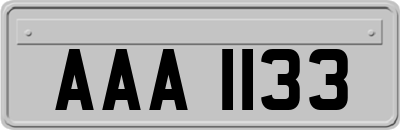 AAA1133