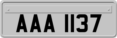 AAA1137