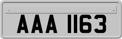 AAA1163