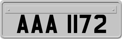 AAA1172