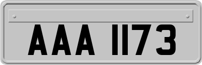 AAA1173