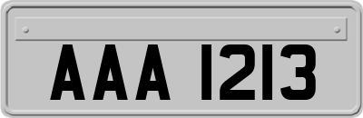 AAA1213