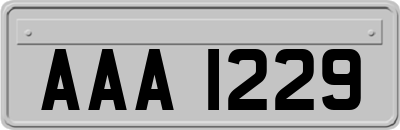 AAA1229