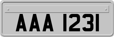 AAA1231