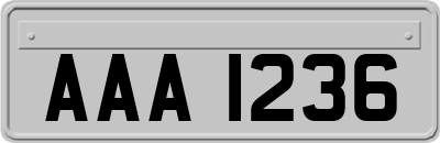 AAA1236