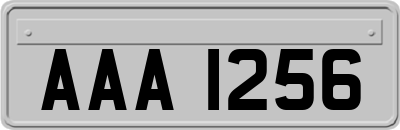 AAA1256