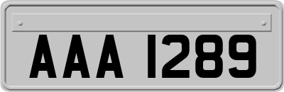 AAA1289