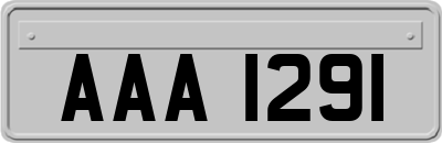 AAA1291