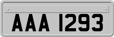 AAA1293