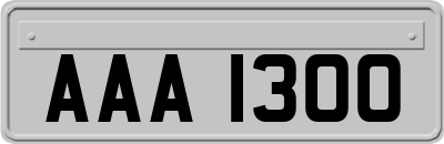 AAA1300