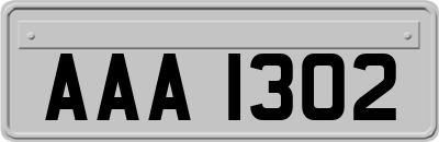 AAA1302