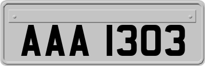 AAA1303