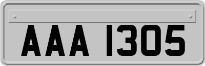 AAA1305