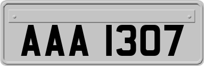 AAA1307