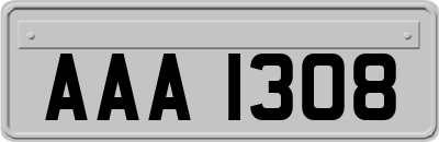 AAA1308