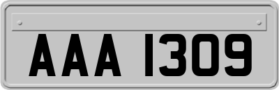 AAA1309