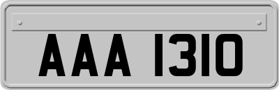 AAA1310