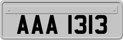 AAA1313