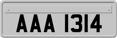 AAA1314