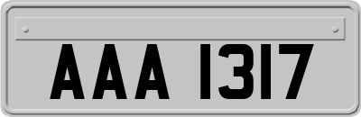 AAA1317