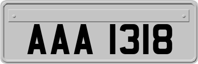 AAA1318