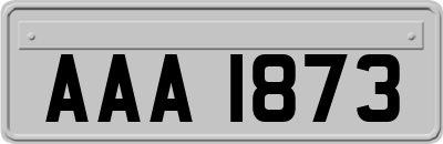 AAA1873