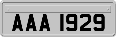 AAA1929