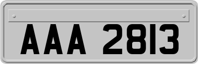 AAA2813