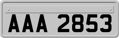 AAA2853