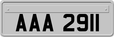 AAA2911