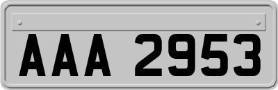 AAA2953