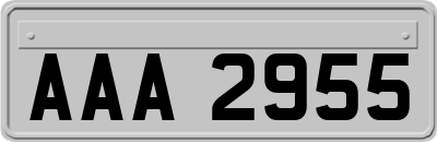 AAA2955