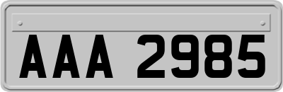 AAA2985