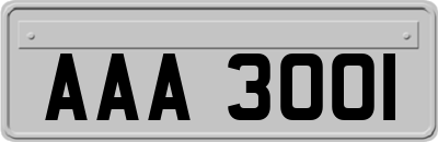 AAA3001