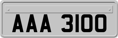 AAA3100