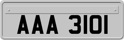 AAA3101