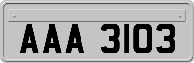 AAA3103