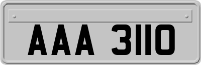 AAA3110