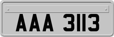 AAA3113