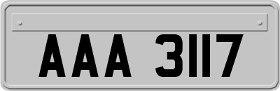 AAA3117