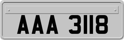 AAA3118