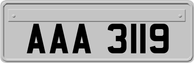 AAA3119